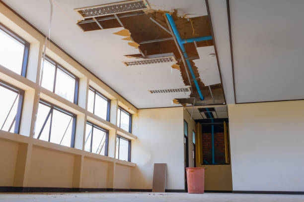 Best Emergency water damage restoration  in Bay Hill, FL