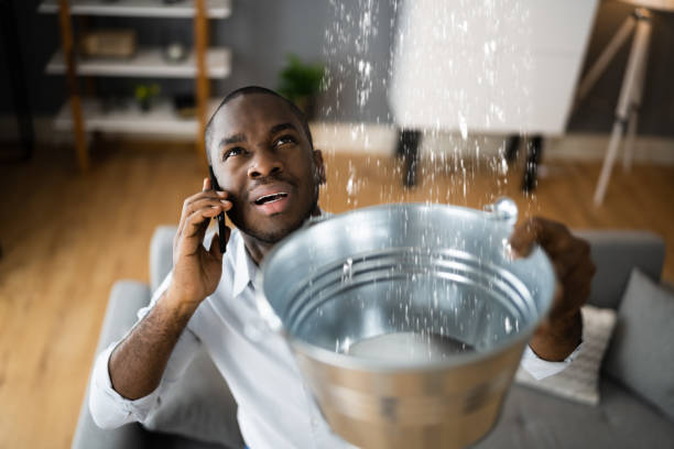 Best Basement water damage restoration  in Bay Hill, FL