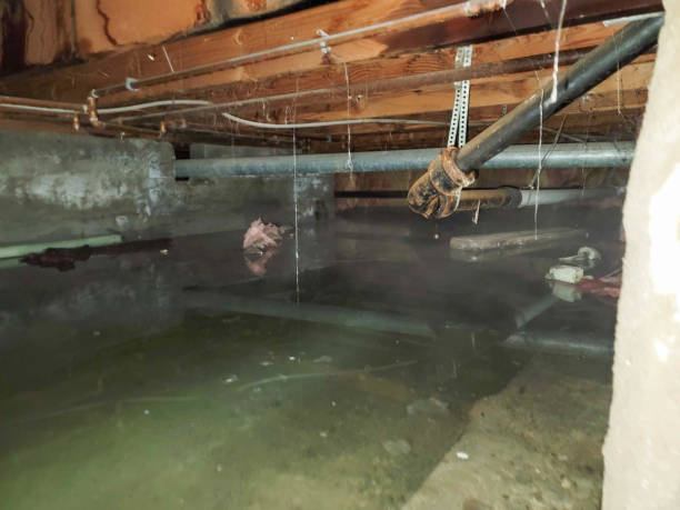 Professional Water damage restoration in Bay Hill, FL