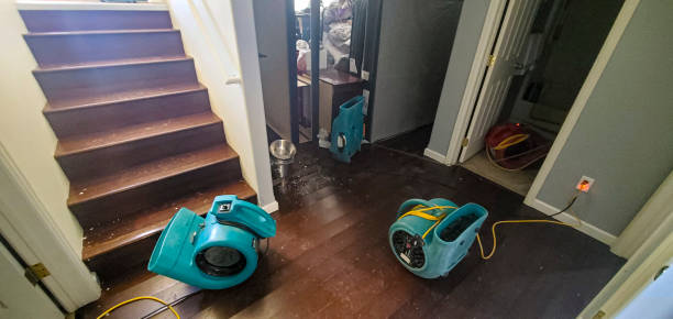 Best Emergency water damage restoration  in Bay Hill, FL