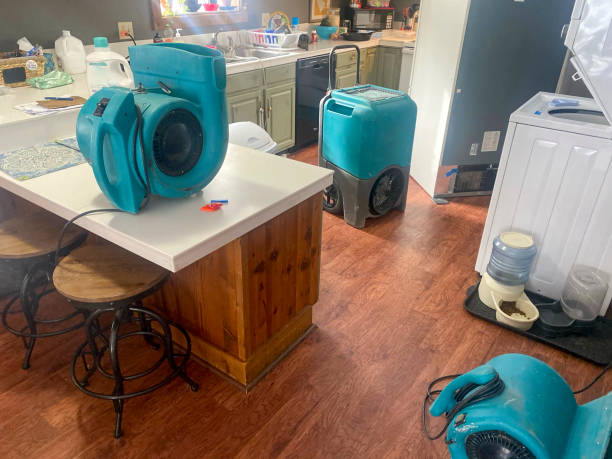 Fire Damage Restoration in Bay Hill, FL