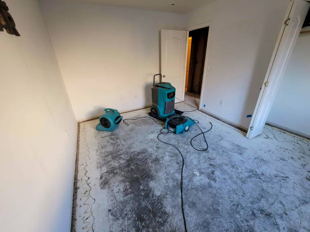 24/7 water damage repair in Bay Hill, FL