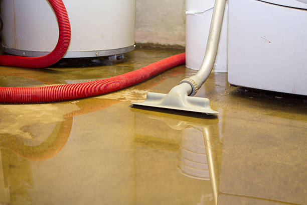Best 24/7 water damage repair  in Bay Hill, FL