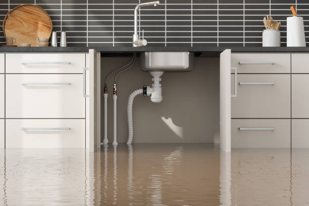 Best Water damage restoration specialists  in Bay Hill, FL