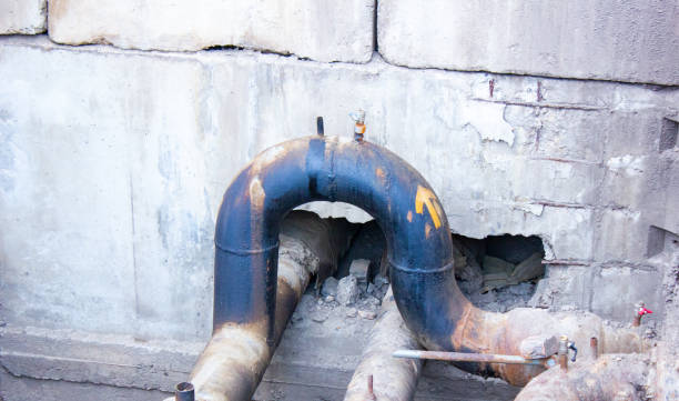 Best Flood damage cleanup  in Bay Hill, FL